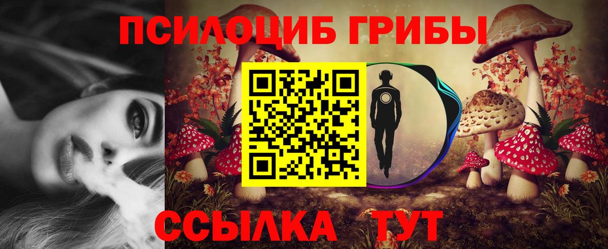 Галлюциногенные грибы MAGIC MUSHROOMS Чапаевск