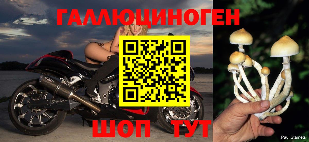 Чапаевск  Галлюциногенные грибы прущие грибы  Вход с VPN 
